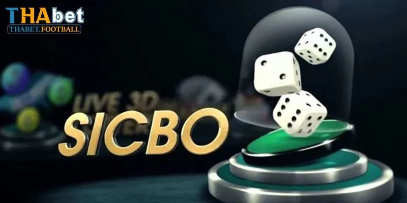 Những hình thức đặt cược Sicbo online cần biết